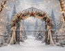 The Winterlight Arch (MI)
