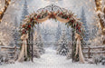 The Winterlight Arch (MI)