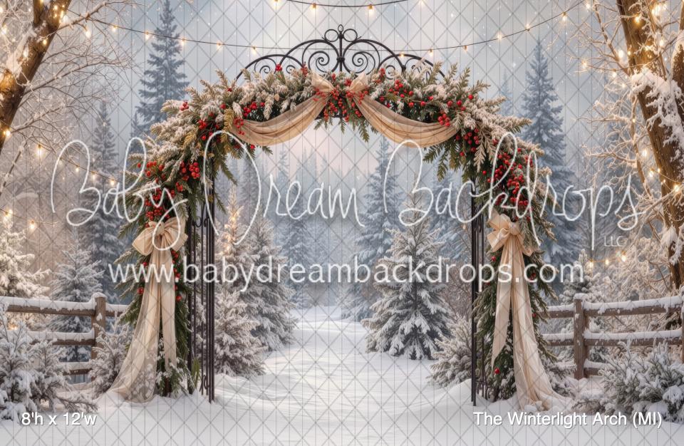 The Winterlight Arch (MI)