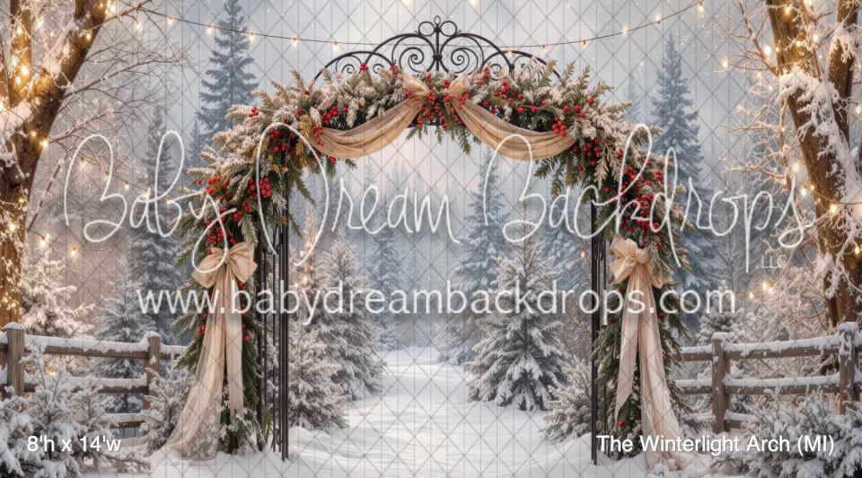 The Winterlight Arch (MI)