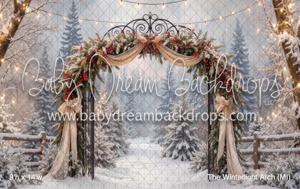 The Winterlight Arch (MI)