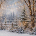 The Winterlight Arch Fence (MI)