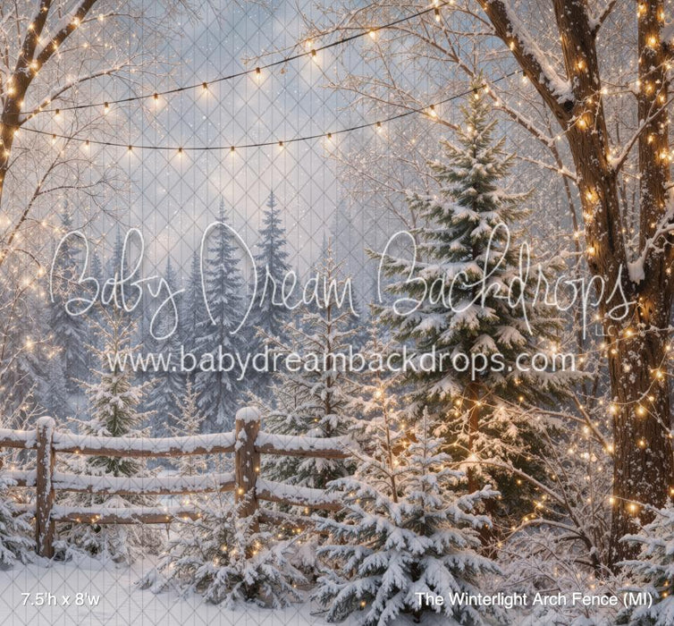 The Winterlight Arch Fence (MI)