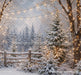 The Winterlight Arch Fence (MI)
