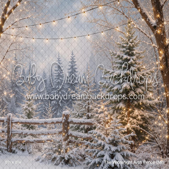 The Winterlight Arch Fence (MI)