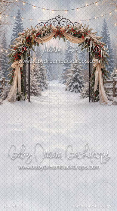 The Winterlight Arch Sweep (MI)
