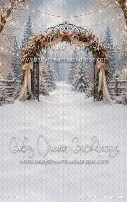 The Winterlight Arch Sweep (MI)