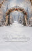 The Winterlight Arch Sweep (MI)