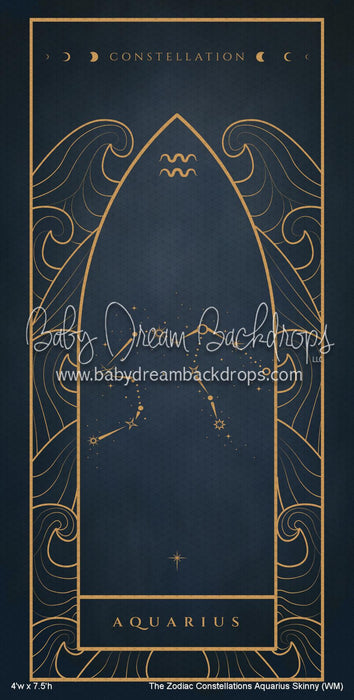 The Zodiac Constellations Aquarius Skinny (WM)