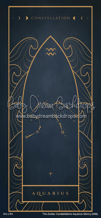 The Zodiac Constellations Aquarius Skinny (WM)