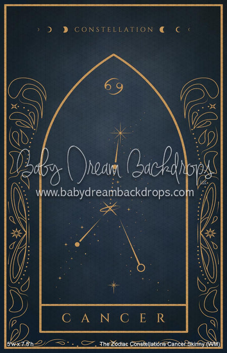 The Zodiac Constellations Cancer Skinny (WM)