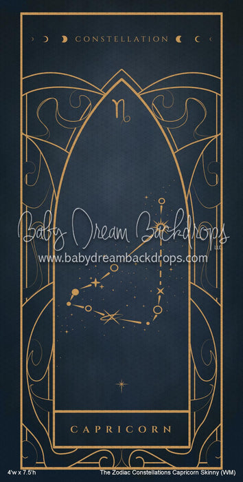 The Zodiac Constellations Capricorn Skinny (WM)