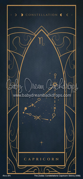 The Zodiac Constellations Capricorn Skinny (WM)