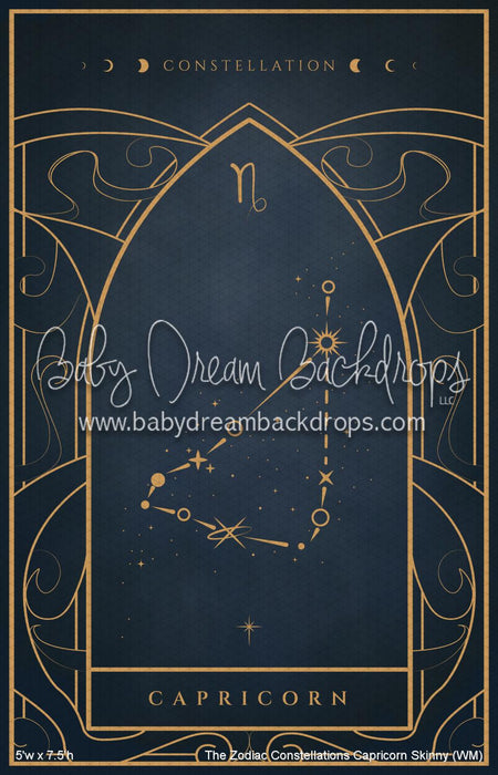 The Zodiac Constellations Capricorn Skinny (WM)