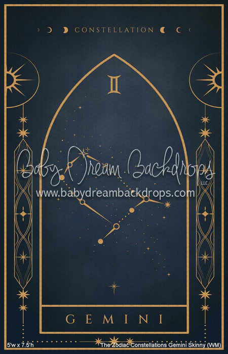 The Zodiac Constellations Gemini Skinny (WM)