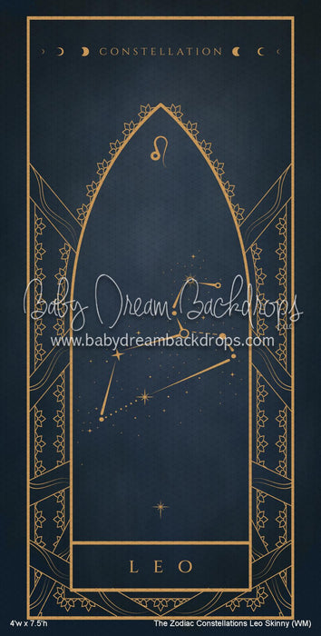 The Zodiac Constellations Leo Skinny (WM)