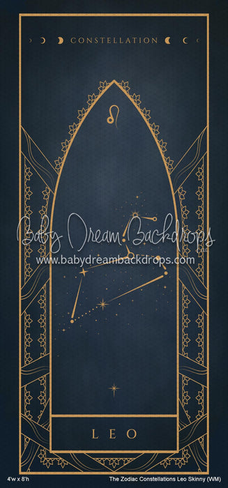 The Zodiac Constellations Leo Skinny (WM)