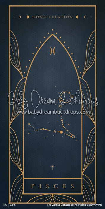 The Zodiac Constellations Pisces Skinny (WM)