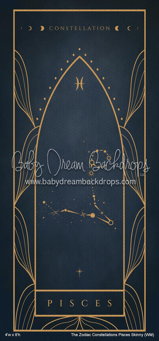 The Zodiac Constellations Pisces Skinny (WM)
