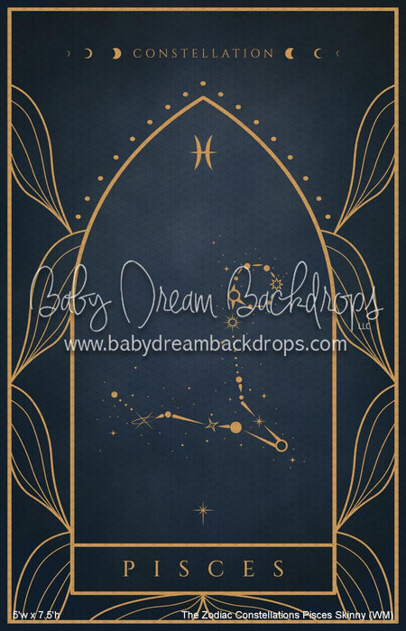 The Zodiac Constellations Pisces Skinny (WM)