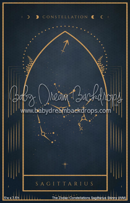 The Zodiac Constellations Sagittarius Skinny (WM)