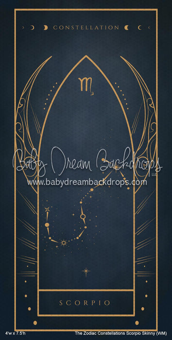 The Zodiac Constellations Scorpio Skinny (WM)