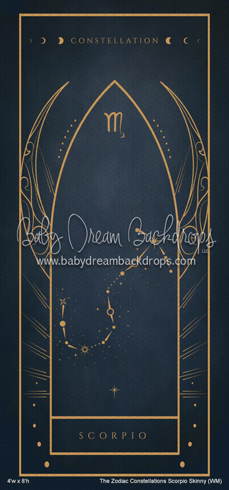 The Zodiac Constellations Scorpio Skinny (WM)