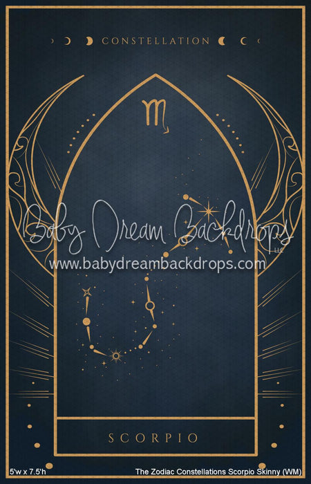 The Zodiac Constellations Scorpio Skinny (WM)