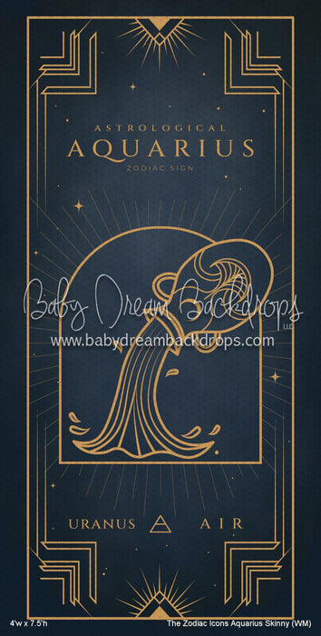 The Zodiac Icons Aquarius Skinny (WM)