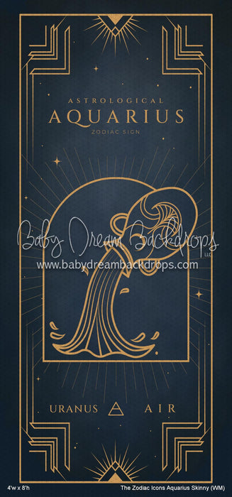 The Zodiac Icons Aquarius Skinny (WM)