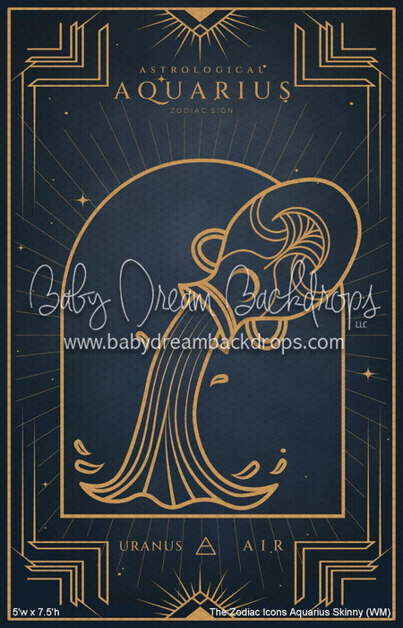 The Zodiac Icons Aquarius Skinny (WM)