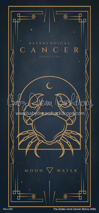 The Zodiac Icons Cancer Skinny (WM)