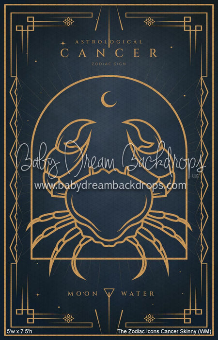 The Zodiac Icons Cancer Skinny (WM)