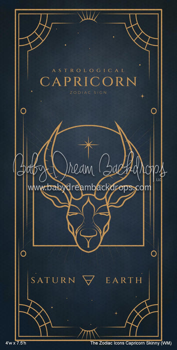 The Zodiac Icons Capricorn Skinny (WM)