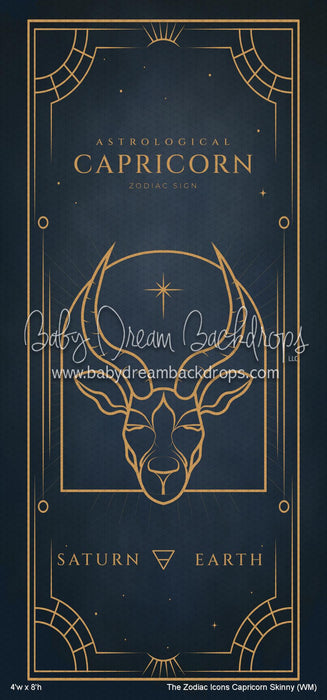 The Zodiac Icons Capricorn Skinny (WM)