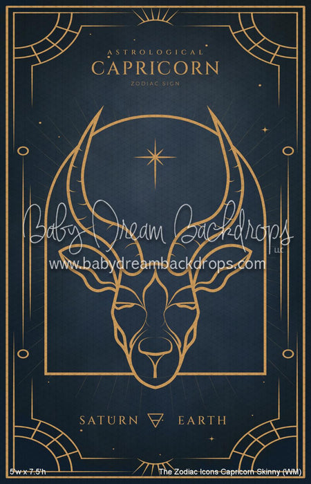 The Zodiac Icons Capricorn Skinny (WM)