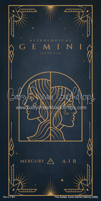 The Zodiac Icons Gemini Skinny (WM)