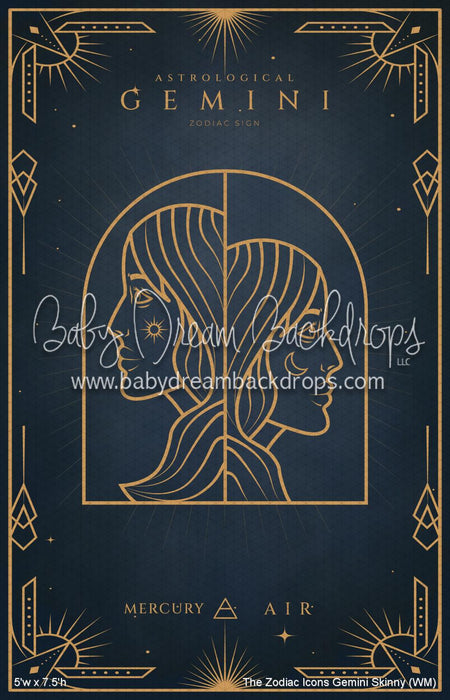 The Zodiac Icons Gemini Skinny (WM)
