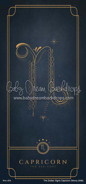 The Zodiac Signs Capricorn Skinny (WM)