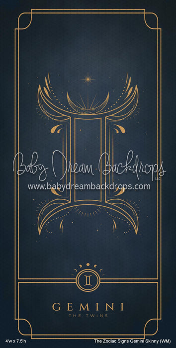 The Zodiac Signs Gemini Skinny (WM)