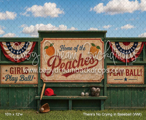 There's No Crying in Baseball (WM)