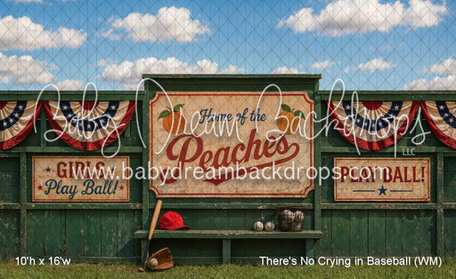 There's No Crying in Baseball (WM)