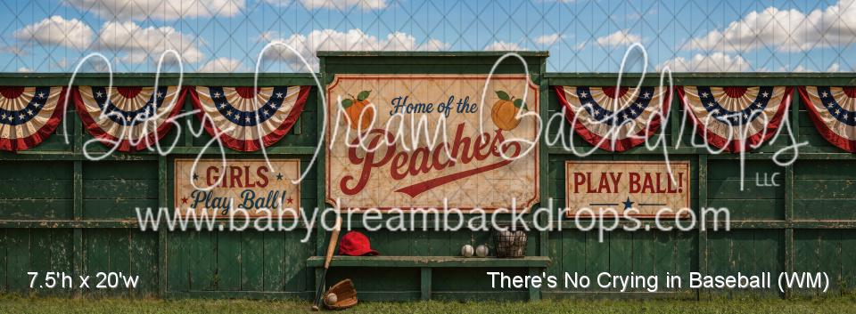 There's No Crying in Baseball (WM)