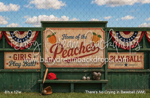 There's No Crying in Baseball (WM)