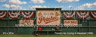 There's No Crying in Baseball (WM)