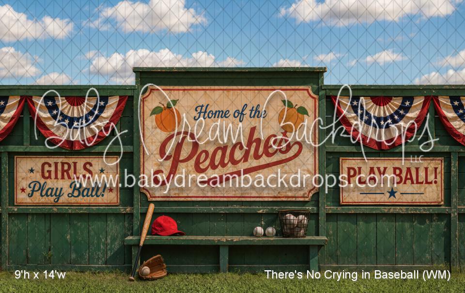 There's No Crying in Baseball (WM)