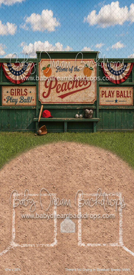 There's No Crying in Baseball Sweep (WM)