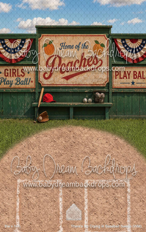 There's No Crying in Baseball Sweep (WM)