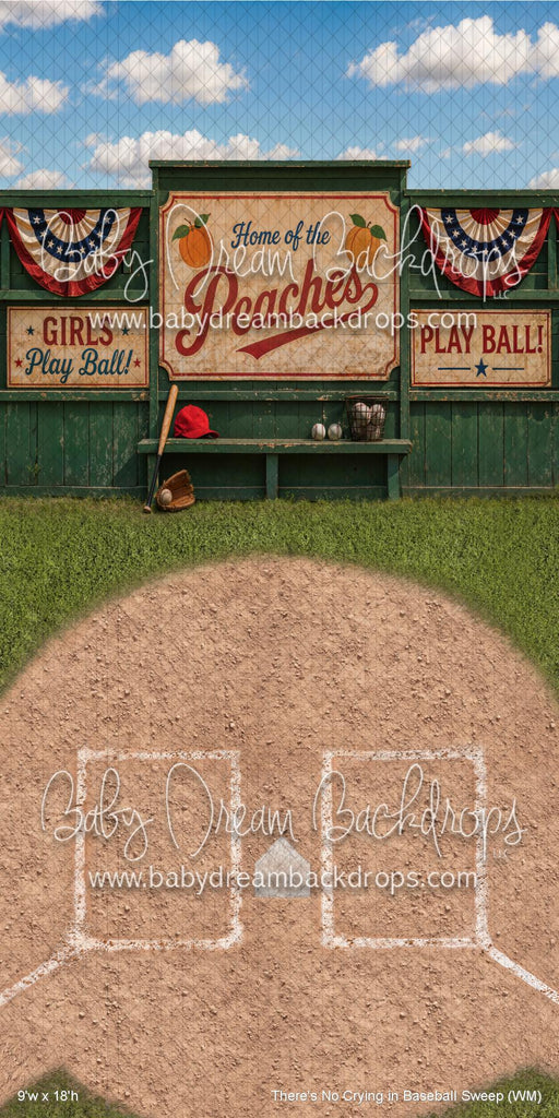 There's No Crying in Baseball Sweep (WM)