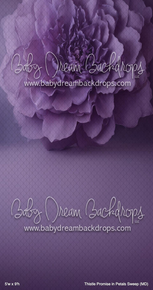 Thistle Promise in Petals Sweep (MD)
